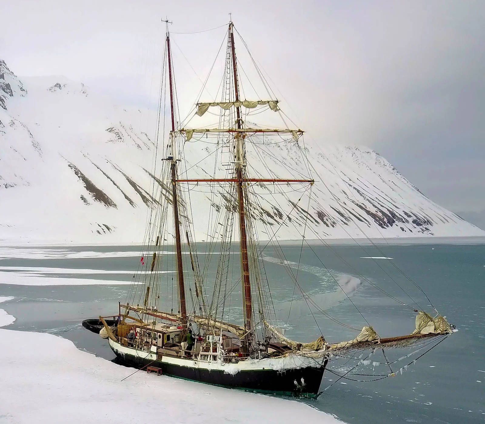 the mighty Opal anchoring on icy shore in the Samarinvagen